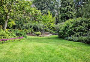 Optimiser l'expérience du jardin à Tourville-en-Auge